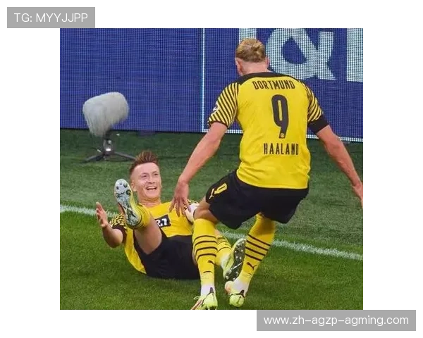 贝西克塔斯欧冠小组赛与淘汰赛历史表现汇总