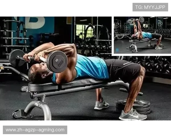 伸展手臂健身器材推荐及锻炼效果分析