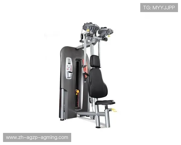 美国健身器材租赁市场现状与用户满意度报告