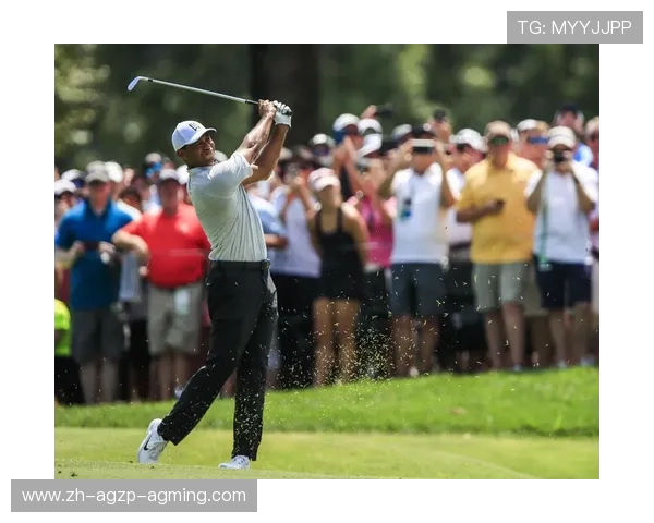 高尔夫锦标赛：晋级决赛